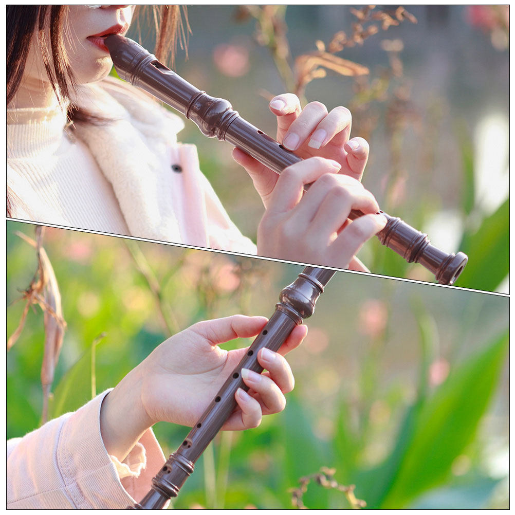 Professional 8 Hole Plastic So - Soprano Recorder Plastic review and price